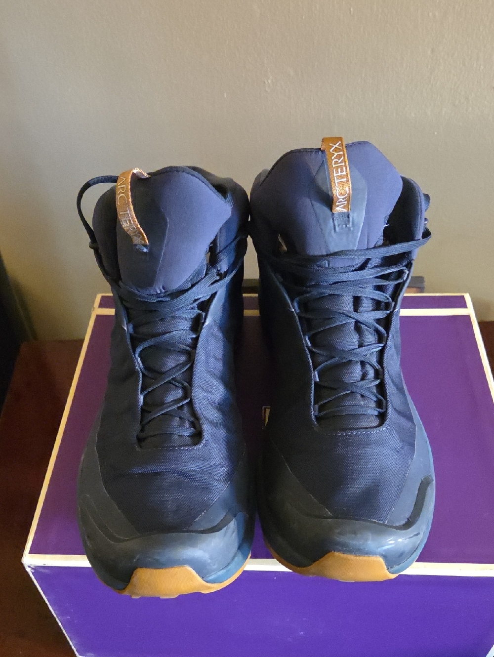 Arc'teryx Men's Navy and Tan Hiking Trainers